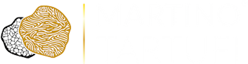 Logo Martino Tartufi