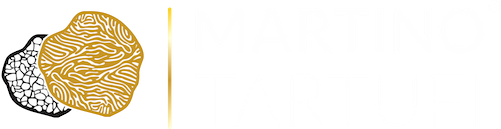 Logo Martino Tartufi